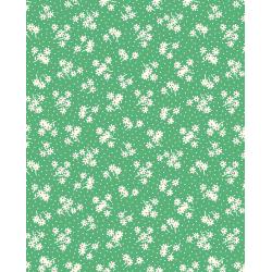 Daisy Dot